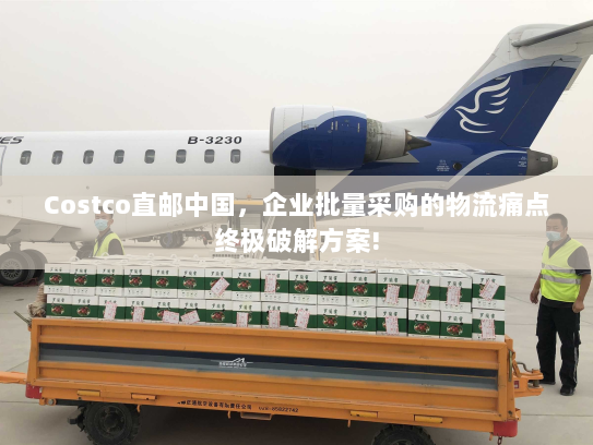 Costco直邮中国,企业批量采购的物流痛点终极破解方案! Costco直邮中国,企业批量采购的物流痛点终极破解方案!