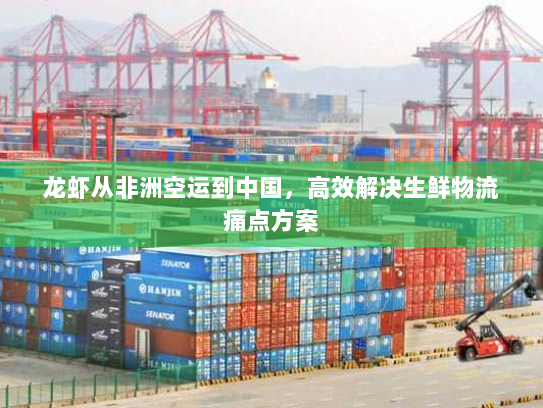 龙虾从非洲空运到中国，高效解决生鲜物流痛点方案