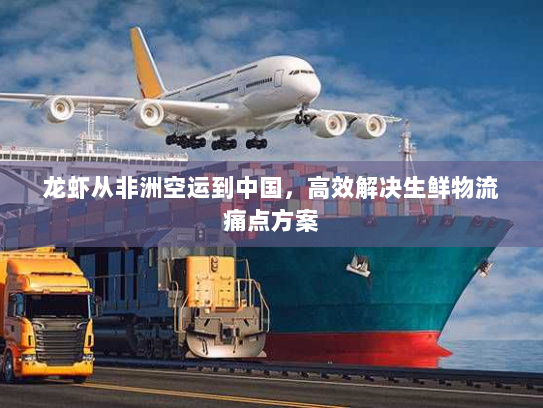 龙虾从非洲空运到中国,高效解决生鲜物流痛点方案 龙虾从非洲空运到中国,高效解决生鲜物流痛点方案
