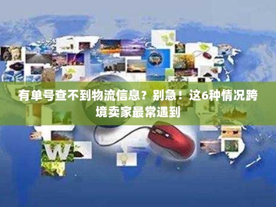 有单号查不到物流信息？别急！这6种情况跨境卖家最常遇到