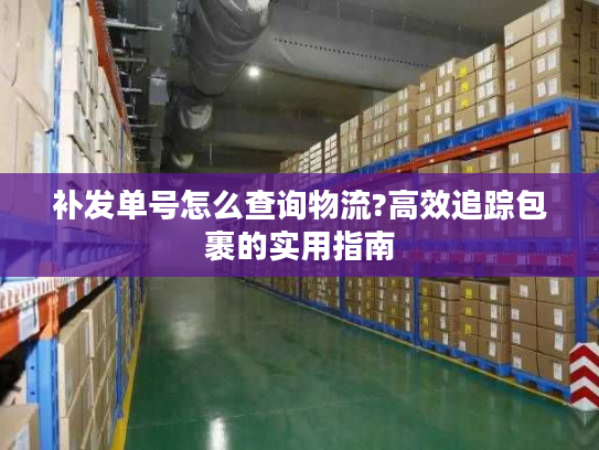 补发单号怎么查询物流?高效追踪包裹的实用指南 补发单号怎么查询物流?高效追踪包裹的实用指南