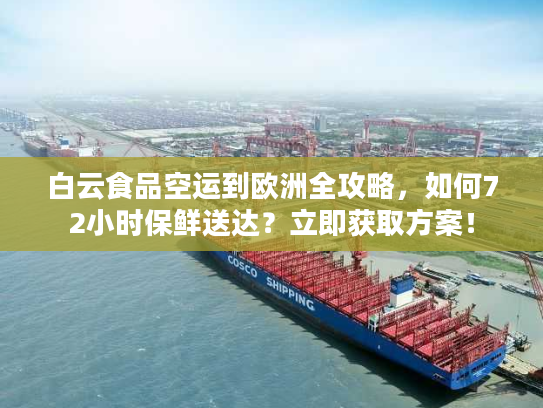 白云食品空运到欧洲全攻略，如何72小时保鲜送达？立即获取方案！