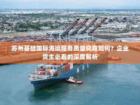 苏州基础国际海运服务质量究竟如何?企业货主必看的深度解析 苏州基础国际海运服务质量究竟如何?企业货主必看的深度解析