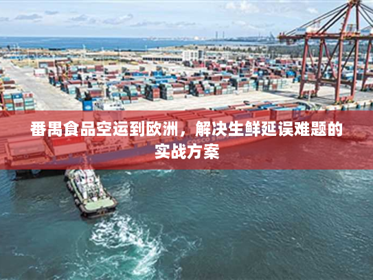 番禺食品空运到欧洲,解决生鲜延误难题的实战方案 番禺食品空运到欧洲,解决生鲜延误难题的实战方案