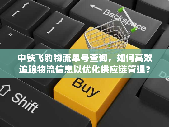 中铁飞豹物流单号查询，如何高效追踪物流信息以优化供应链管理？