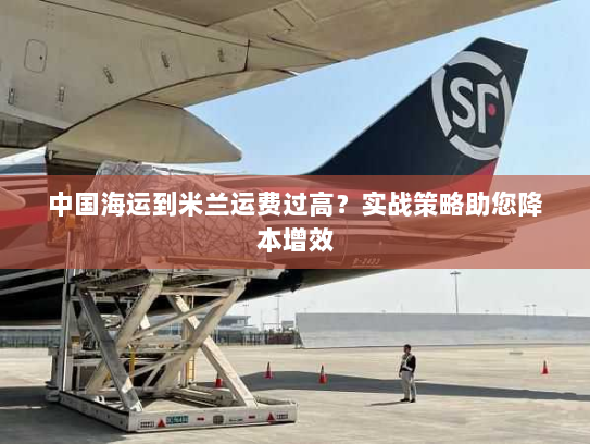 中国海运到米兰运费过高?实战策略助您降本增效 中国海运到米兰运费过高?实战策略助您降本增效