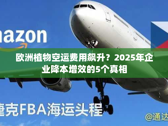 欧洲植物空运费用飙升?2025年企业降本增效的5个真相 欧洲植物空运费用飙升?2025年企业降本增效的5个真相