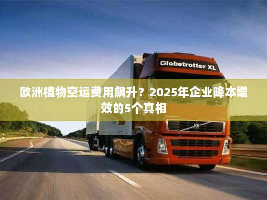 欧洲植物空运费用飙升？2025年企业降本增效的5个真相