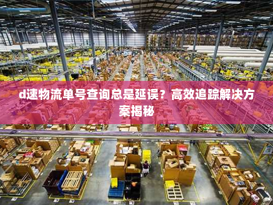 d速物流单号查询总是延误？高效追踪解决方案揭秘