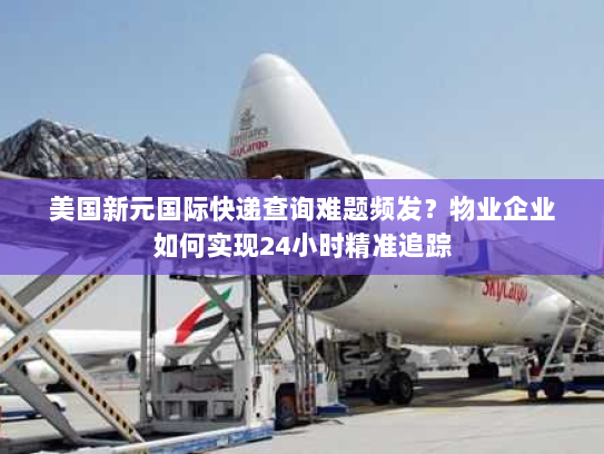 美国新元国际快递查询难题频发？物业企业如何实现24小时精准追踪