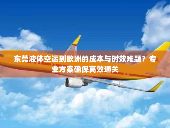 东莞液体空运到欧洲的成本与时效难题？专业方案确保高效通关