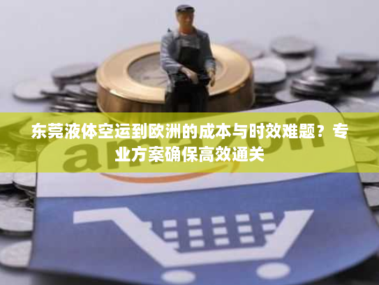 东莞液体空运到欧洲的成本与时效难题？专业方案确保高效通关