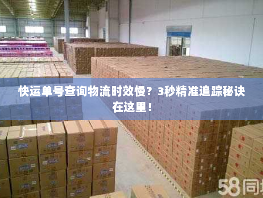 快运单号查询物流时效慢？3秒精准追踪秘诀在这里！