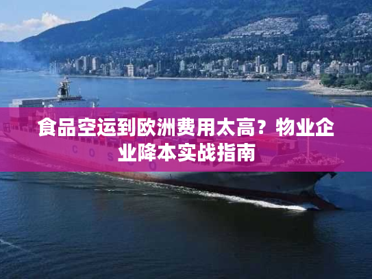 食品空运到欧洲费用太高？物业企业降本实战指南