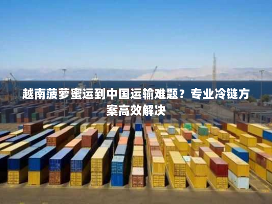 越南菠萝蜜运到中国运输难题？专业冷链方案高效解决