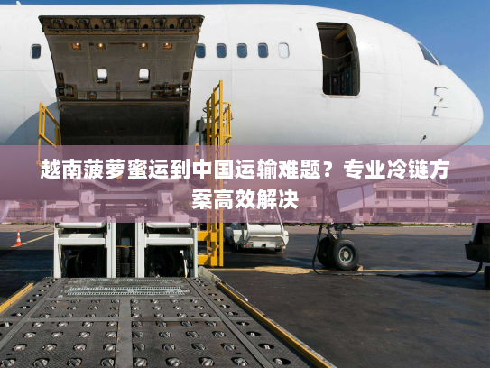 越南菠萝蜜运到中国运输难题？专业冷链方案高效解决