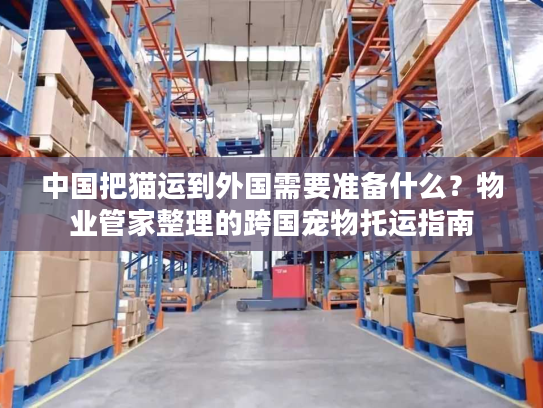 中国把猫运到外国需要准备什么?物业管家整理的跨国宠物托运指南 中国把猫运到外国需要准备什么?物业管家整理的跨国宠物托运指南