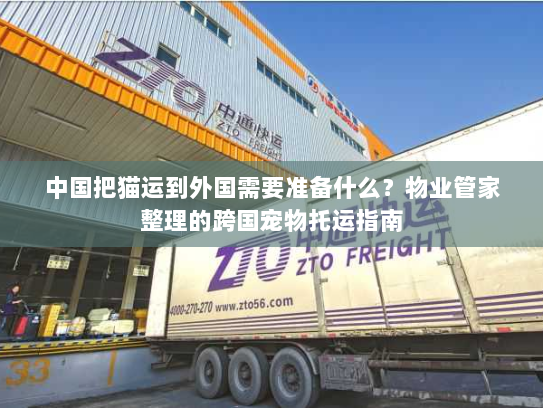 中国把猫运到外国需要准备什么?物业管家整理的跨国宠物托运指南 中国把猫运到外国需要准备什么?物业管家整理的跨国宠物托运指南