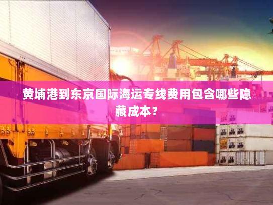 黄埔港到东京国际海运专线费用包含哪些隐藏成本？