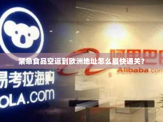 紧急食品空运到欧洲地址怎么最快通关？