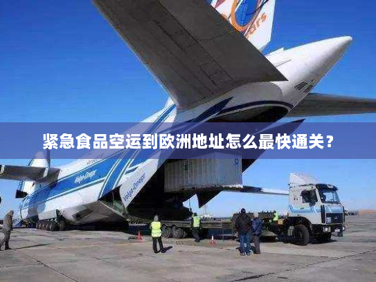 紧急食品空运到欧洲地址怎么最快通关？