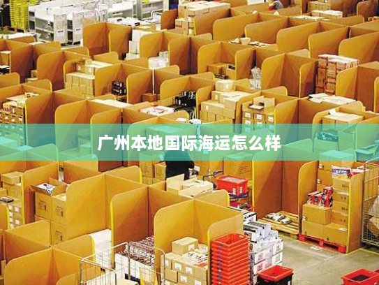 广州本地国际海运怎么样 广州本地国际海运怎么样