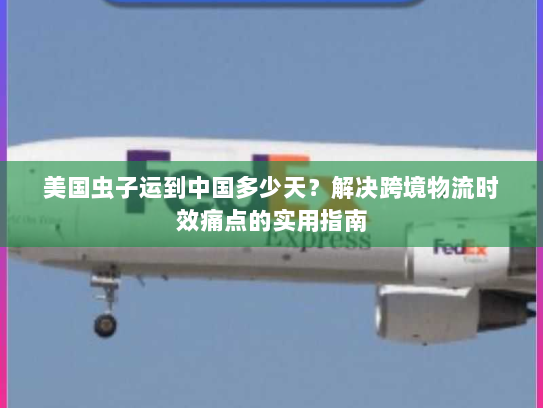 美国虫子运到中国多少天?解决跨境物流时效痛点的实用指南 美国虫子运到中国多少天?解决跨境物流时效痛点的实用指南