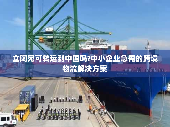 立陶宛可转运到中国吗?中小企业急需的跨境物流解决方案 立陶宛可转运到中国吗?中小企业急需的跨境物流解决方案