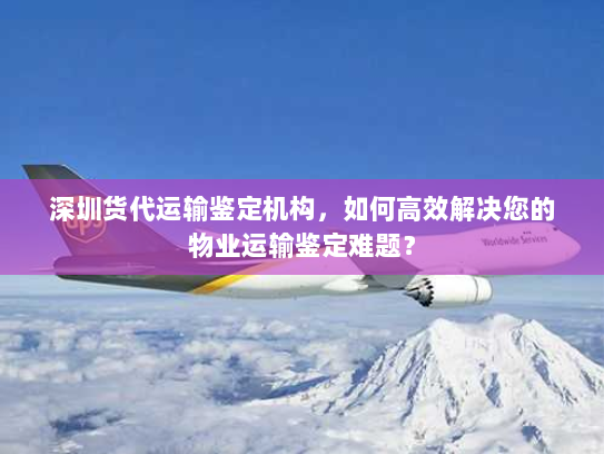 深圳货代运输鉴定机构,如何高效解决您的物业运输鉴定难题? 深圳货代运输鉴定机构,如何高效解决您的物业运输鉴定难题?