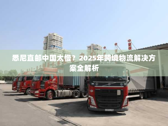 悉尼直邮中国太慢?2025年跨境物流解决方案全解析 悉尼直邮中国太慢?2025年跨境物流解决方案全解析