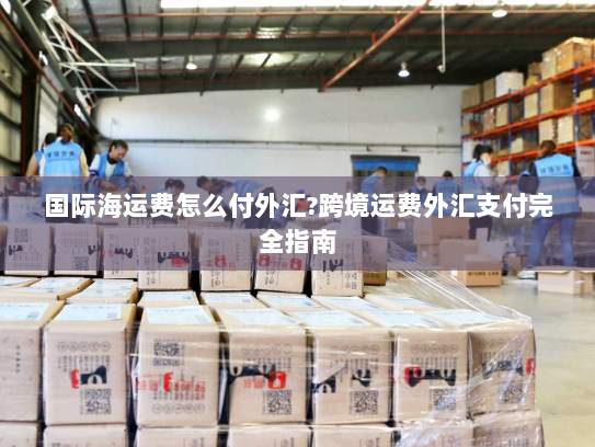 国际海运费怎么付外汇?跨境运费外汇支付完全指南