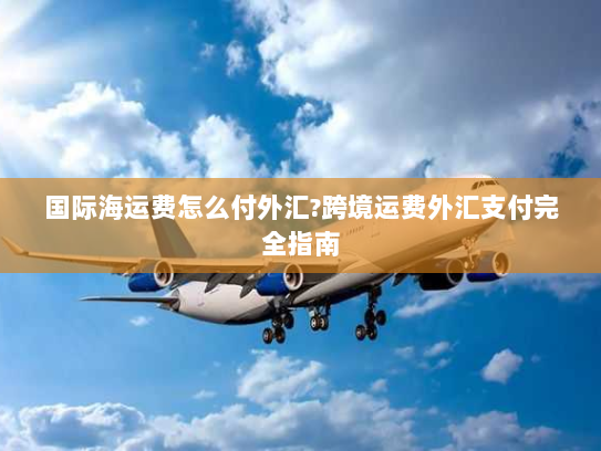 国际海运费怎么付外汇?跨境运费外汇支付完全指南