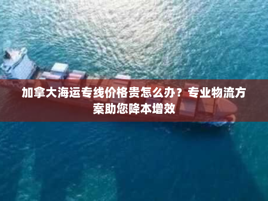 加拿大海运专线价格贵怎么办?专业物流方案助您降本增效 加拿大海运专线价格贵怎么办?专业物流方案助您降本增效