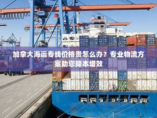 加拿大海运专线价格贵怎么办?专业物流方案助您降本增效 加拿大海运专线价格贵怎么办?专业物流方案助您降本增效