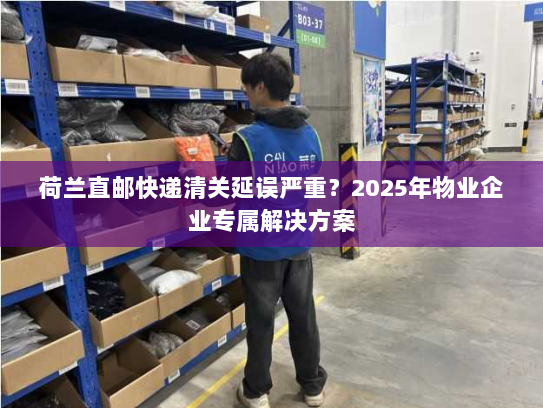荷兰直邮快递清关延误严重？2025年物业企业专属解决方案