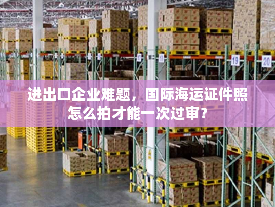 进出口企业难题，国际海运证件照怎么拍才能一次过审？