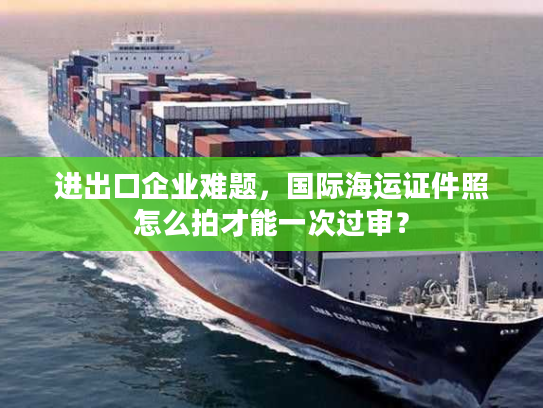 进出口企业难题，国际海运证件照怎么拍才能一次过审？