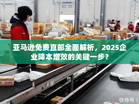亚马逊免费直邮全面解析，2025企业降本增效的关键一步？