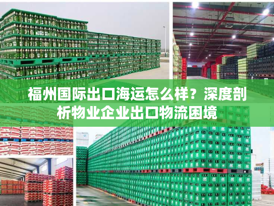 福州国际出口海运怎么样？深度剖析物业企业出口物流困境