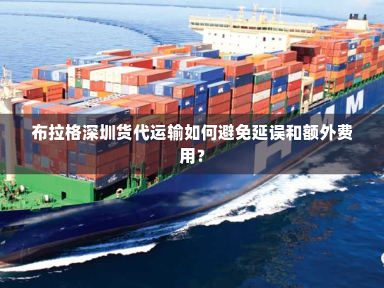 布拉格深圳货代运输如何避免延误和额外费用? 布拉格深圳货代运输如何避免延误和额外费用?