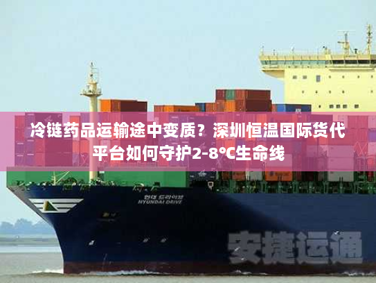 冷链药品运输途中变质？深圳恒温国际货代平台如何守护2-8℃生命线