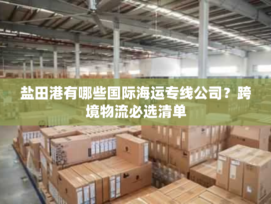 盐田港有哪些国际海运专线公司？跨境物流必选清单