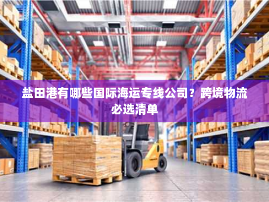 盐田港有哪些国际海运专线公司?跨境物流必选清单 盐田港有哪些国际海运专线公司?跨境物流必选清单