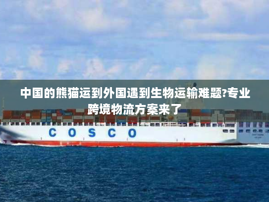 中国的熊猫运到外国遇到生物运输难题?专业跨境物流方案来了