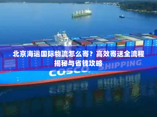 北京海运国际物流怎么寄？高效寄送全流程揭秘与省钱攻略