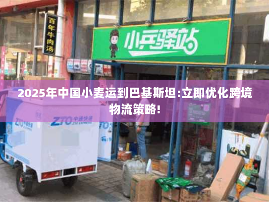 2025年中国小麦运到巴基斯坦:立即优化跨境物流策略! 2025年中国小麦运到巴基斯坦:立即优化跨境物流策略!