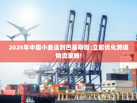 2025年中国小麦运到巴基斯坦:立即优化跨境物流策略! 2025年中国小麦运到巴基斯坦:立即优化跨境物流策略!