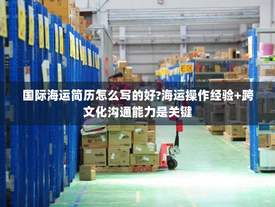 国际海运简历怎么写的好?海运操作经验+跨文化沟通能力是关键