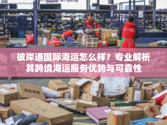 彼岸通国际海运怎么样？专业解析其跨境海运服务优势与可靠性