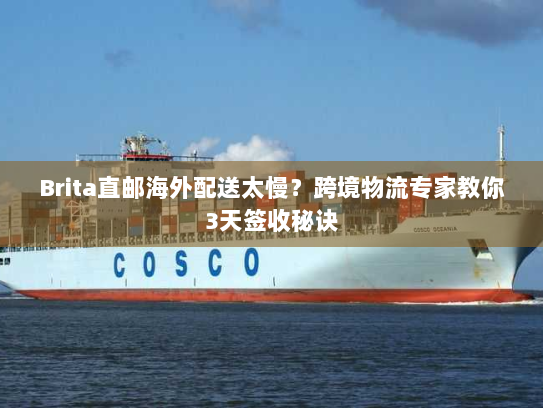 Brita直邮海外配送太慢？跨境物流专家教你3天签收秘诀